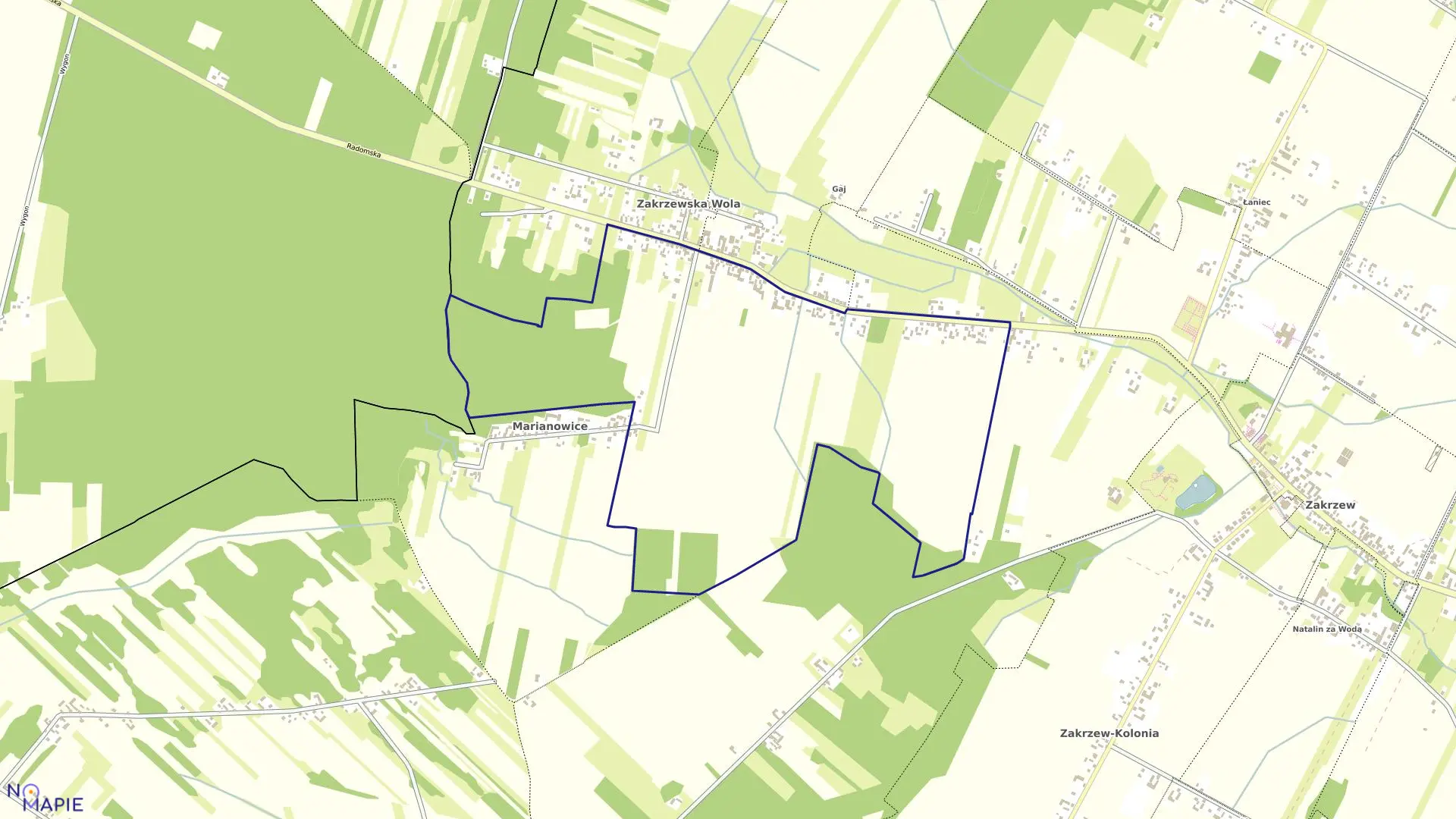 Mapa obrębu MARIANOWICE DOLNE w gminie Zakrzew